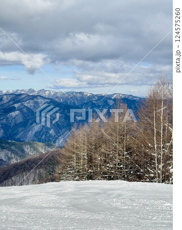 上越国際スキー場から見る雪景色 上越国際スキー場から見る雪景色 124575260