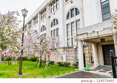 大阪造幣局　桜の通り抜け 124575403