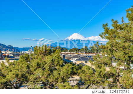 【世界遺産】富士山 満観峰山頂より撮影 【世界遺産】富士山 満観峰山頂より撮影 124575785