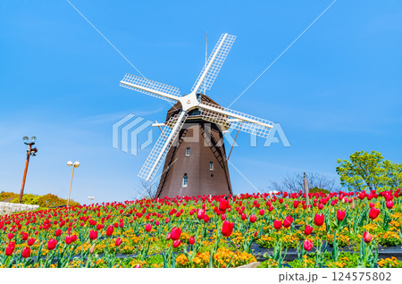大阪 花博記念公園鶴見緑地 風車の丘 大阪 花博記念公園鶴見緑地 風車の丘 124575802