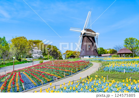 大阪 花博記念公園鶴見緑地　風車の丘 124575805