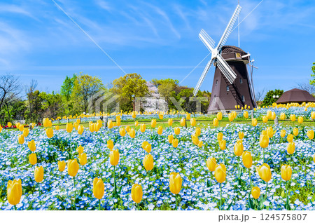 大阪 花博記念公園鶴見緑地　風車の丘 124575807