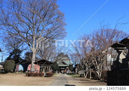 埼玉県南埼玉群宮代町の姫宮神社 埼玉県南埼玉群宮代町の姫宮神社 124575889