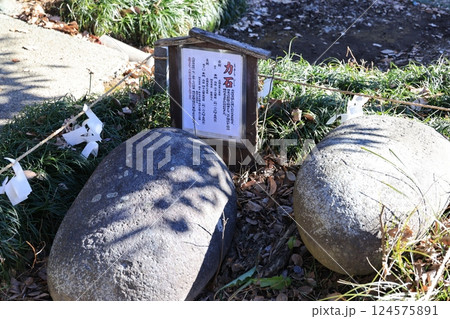 埼玉県南埼玉群宮代町の姫宮神社の力石 124575891