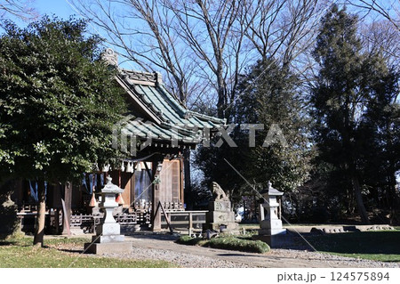 埼玉県南埼玉群宮代町の姫宮神社 埼玉県南埼玉群宮代町の姫宮神社 124575894