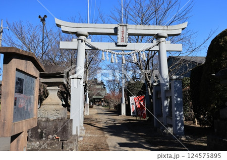 埼玉県南埼玉群宮代町の姫宮神社 埼玉県南埼玉群宮代町の姫宮神社 124575895