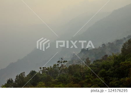 Landscape of jungle hills in Meghalaya, India 124576295