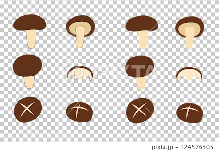 しいたけのイラスト しいたけのイラスト 124576305
