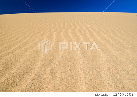 鳥取砂丘 美しい砂の風紋と青空 鳥取砂丘 美しい砂の風紋と青空 124576502