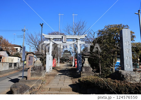 埼玉県南埼玉群宮代町の姫宮神社 埼玉県南埼玉群宮代町の姫宮神社 124576550