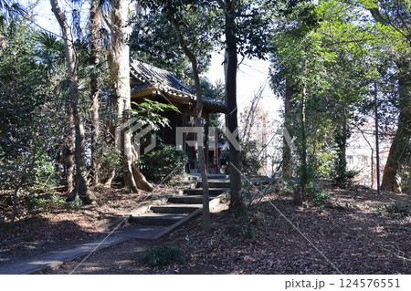 埼玉県南埼玉群宮代町の姫宮神社姫宮神社1号墳 埼玉県南埼玉群宮代町の姫宮神社姫宮神社1号墳 124576551