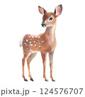 Young forest deer, fawn on white background. Watercolor bambi illustration. Wild young deer animal with white back spots. Perfect for winter and Christmas designs, greeting cards, holiday decorations 124576707