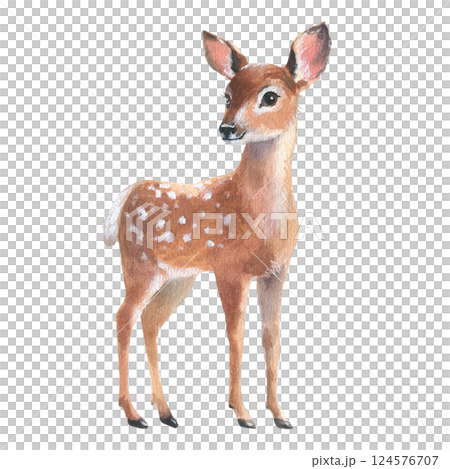 Young forest deer, fawn on white background. Watercolor bambi illustration. Wild young deer animal with white back spots. Perfect for winter and Christmas designs, greeting cards, holiday decorations Young forest deer, fawn on white background. Watercolor bambi illustration. Wild young deer animal with white back spots. Perfect for winter and Christmas designs, greeting cards, holiday decorations 124576707