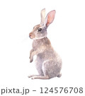 Watercolor illustration of a cute rabbit, hare standing on its hind legs. Hand-painted in soft natural tones. Perfect for Easter designs, greeting cards, wildlife themes, and rustic decor. 124576708