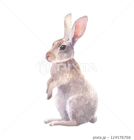 Watercolor illustration of a cute rabbit, hare standing on its hind legs. Hand-painted in soft natural tones. Perfect for Easter designs, greeting cards, wildlife themes, and rustic decor. Watercolor illustration of a cute rabbit, hare standing on its hind legs. Hand-painted in soft natural tones. Perfect for Easter designs, greeting cards, wildlife themes, and rustic decor. 124576708
