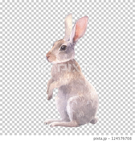 Watercolor illustration of a cute rabbit, hare standing on its hind legs. Hand-painted in soft natural tones. Perfect for Easter designs, greeting cards, wildlife themes, and rustic decor. Watercolor illustration of a cute rabbit, hare standing on its hind legs. Hand-painted in soft natural tones. Perfect for Easter designs, greeting cards, wildlife themes, and rustic decor. 124576708