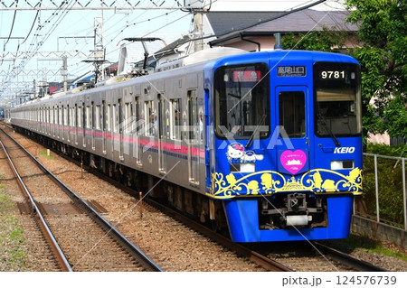 京王9000系30番台 9731F 更新後 サンリオラッピングトレイン3代目 南平 京王9000系30番台 9731F 更新後 サンリオラッピングトレイン3代目 南平 124576739