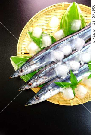 サンマ 秋刀魚 さんま サンマ 秋刀魚 さんま 124576900