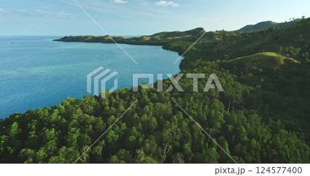 Aerial view captures the breathtaking meeting point of a lush tropical forest and the vast, crystal-clear ocean, showcasing the beauty and tranquility of nature Aerial view captures the breathtaking meeting point of a lush tropical forest and the vast, crystal-clear ocean, showcasing the beauty and tranquility of nature 124577400