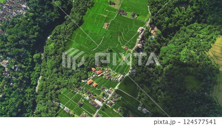 Aerial view of vibrant green rice terraces paddy, dense tropical forest, rural village residential houses - harmony blend of nature and human settlement in Bali, Indonesia. Cultural Balinese landscape 124577541