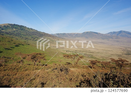 Panoramic caldera of African Ngorongoro Conservation Area in Crater Highlands in TANZANIA 124577690