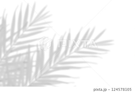 Palm leaf shadow isolated on white background, tropical plant silhouette, natural pattern, exotic foliage, bright sunlight effect 124578105