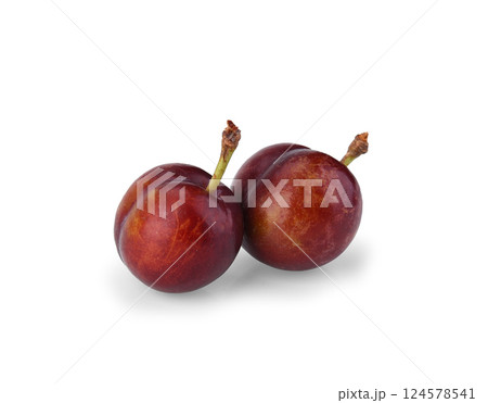 Two large red plums isolated on white background 124578541