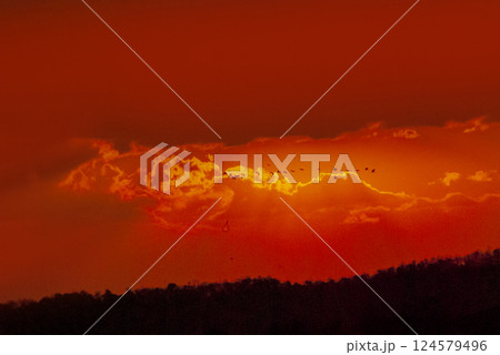 Scenic view dramatic beautiful sunset sky. Natural Sunset Sunrise on meadow silhouette shadow dark land. Vibrant dramatic sky on sunset, dawn, sunrise in Countryside. Landscape Colorful Sky At Sunset Scenic view dramatic beautiful sunset sky. Natural Sunset Sunrise on meadow silhouette shadow dark land. Vibrant dramatic sky on sunset, dawn, sunrise in Countryside. Landscape Colorful Sky At Sunset 124579496