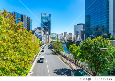 【東京都】聖橋から見た御茶ノ水の街並み 124579555