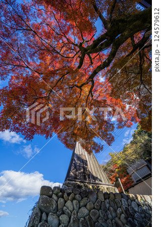 美濃市の風景 124579612