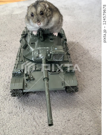 戦車に乗るハムスター 124579678