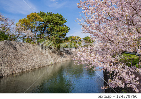 【静岡県】駿府城公園　お堀の桜 124579760