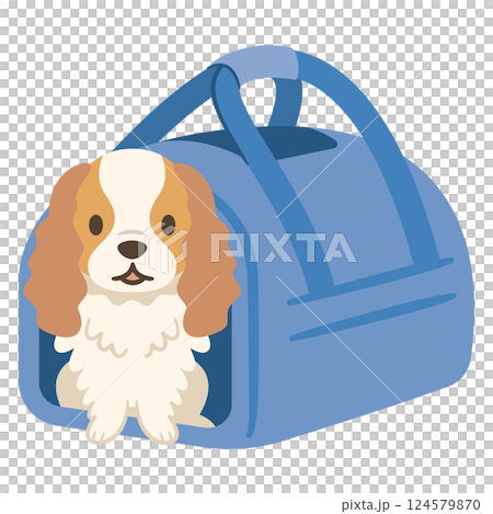 キャリーバッグに入る犬のイラスト 124579870