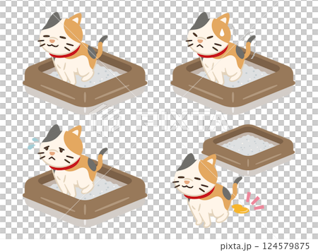 排泄する猫のイラストセット 124579875