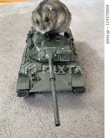 自衛隊ハムスター、戦車に乗るハムスター 自衛隊ハムスター、戦車に乗るハムスター 124579889