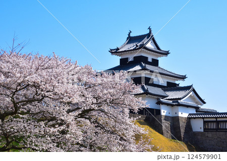 桜景　白河小峰城　御三階櫓 124579901