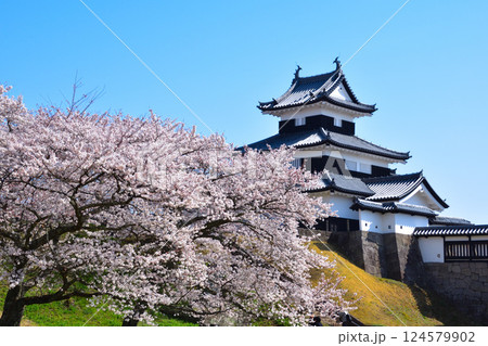 桜景 白河小峰城 御三階櫓 桜景 白河小峰城 御三階櫓 124579902