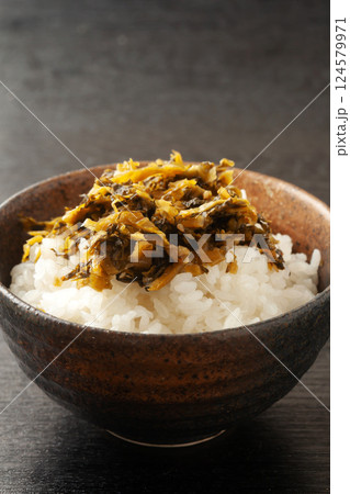 高菜をのせたご飯 高菜をのせたご飯 124579971