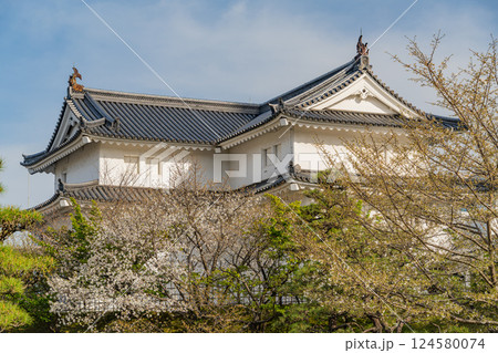 【静岡県】駿府城公園 駿府城巽櫓 桜の季節 【静岡県】駿府城公園 駿府城巽櫓 桜の季節 124580074