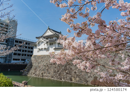 【静岡県】駿府城公園　駿府城坤櫓　桜の季節 124580174