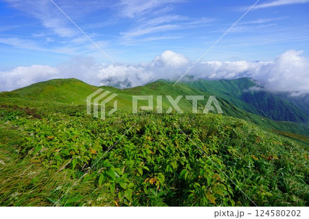 西朝日岳から竜門山への稜線 124580202