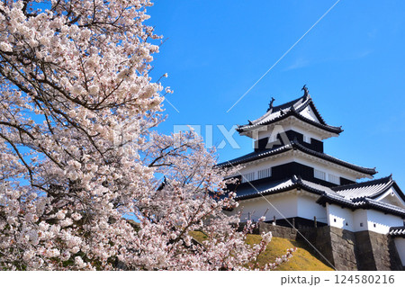 桜景 白河小峰城 御三階櫓 桜景 白河小峰城 御三階櫓 124580216