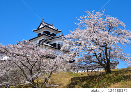 桜景 白河小峰城 御三階櫓 桜景 白河小峰城 御三階櫓 124580373