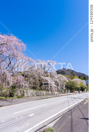 青空と枝垂桜風景　浄専寺 「天然記念物　樹齢300年以上を誇るしだれ桜」宮崎県西臼杵郡五ヶ瀬町 124580506