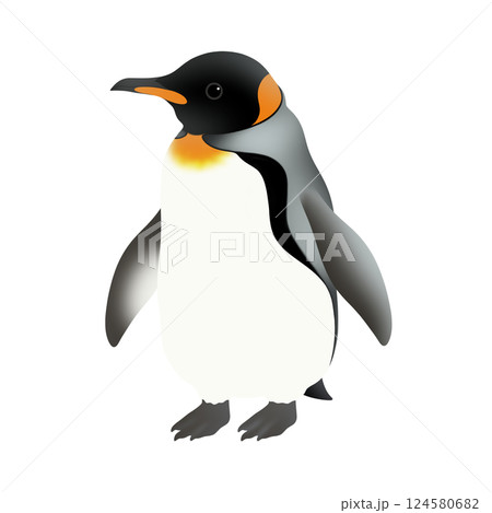 かわいいキングペンギンのイラスト 124580682