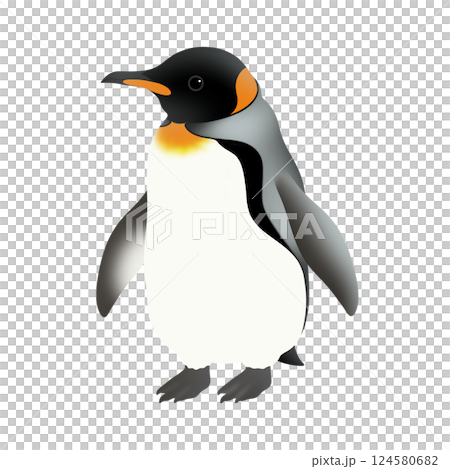 Cute King Penguin Illustration 124580682