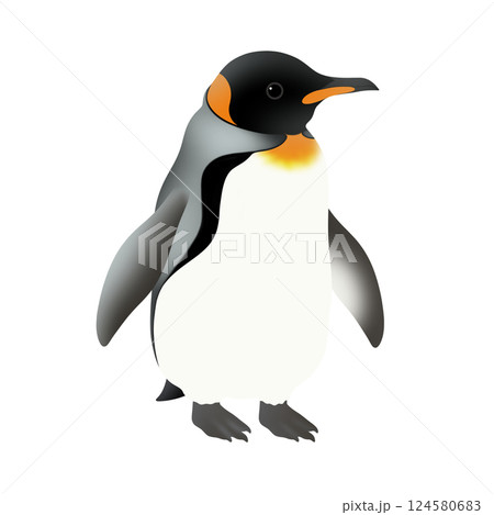 かわいいキングペンギンのイラスト かわいいキングペンギンのイラスト 124580683