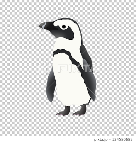 かわいいケープペンギンのイラスト 124580685