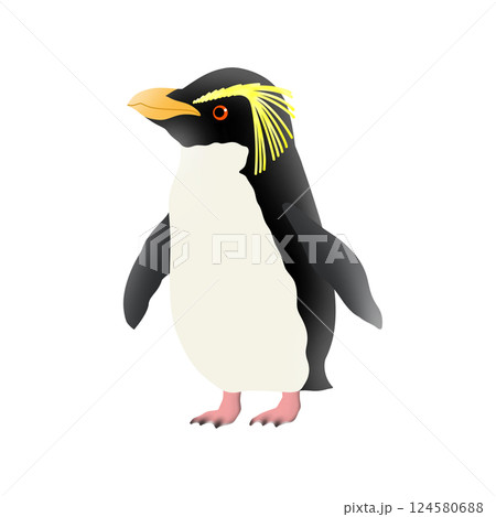 かわいいキタイワトビペンギンのイラスト かわいいキタイワトビペンギンのイラスト 124580688