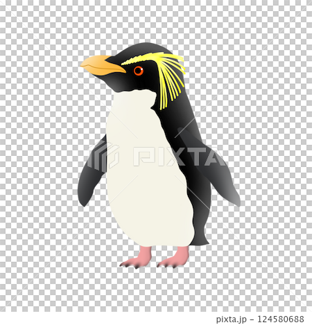 かわいいキタイワトビペンギンのイラスト かわいいキタイワトビペンギンのイラスト 124580688
